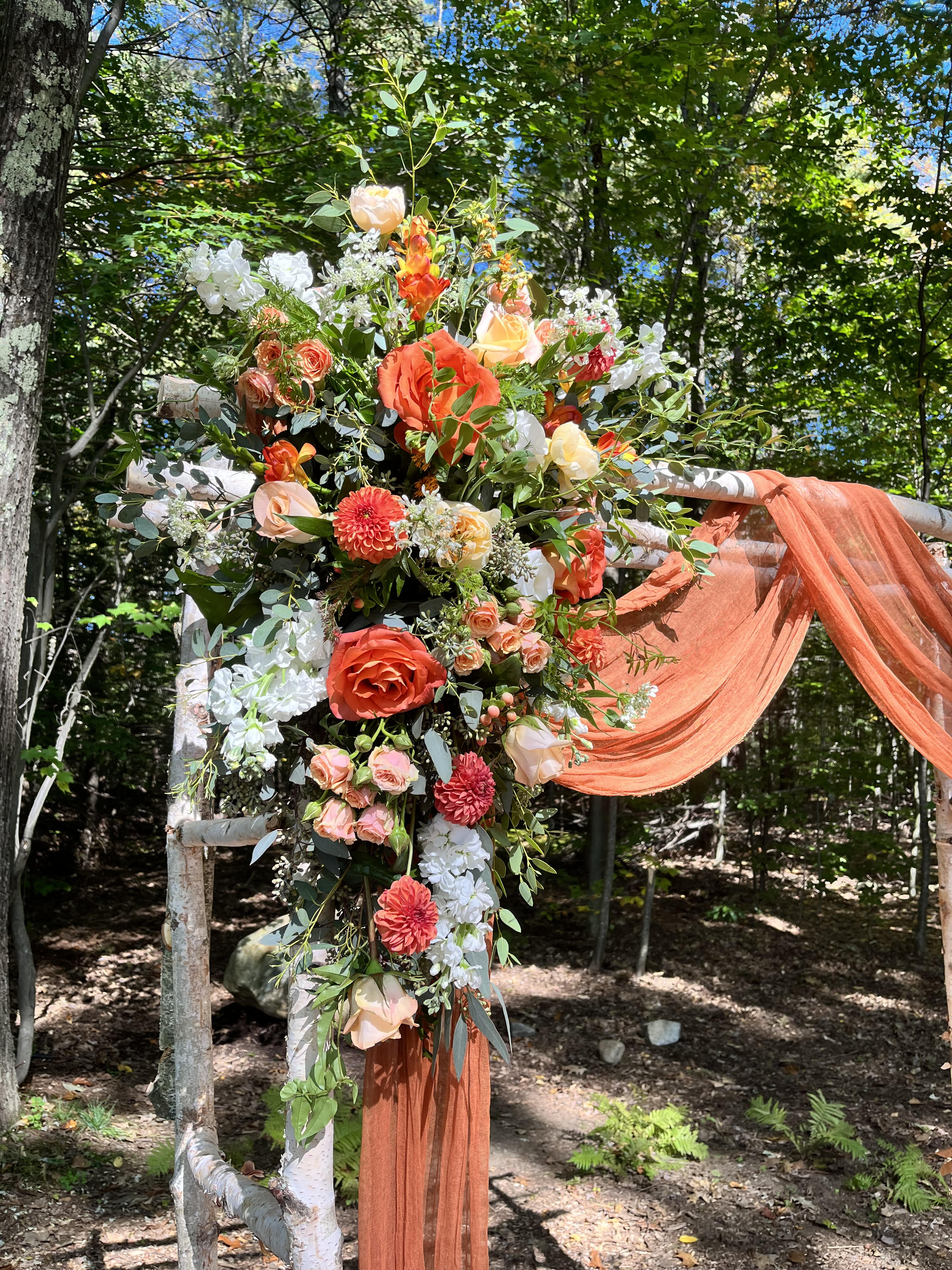 arbor1